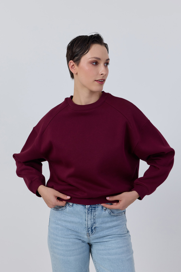 Bisiklet Yaka Basic Sweatshirt - 9