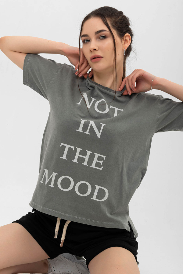 Kadın T-Shirt Not In The Mood - 9