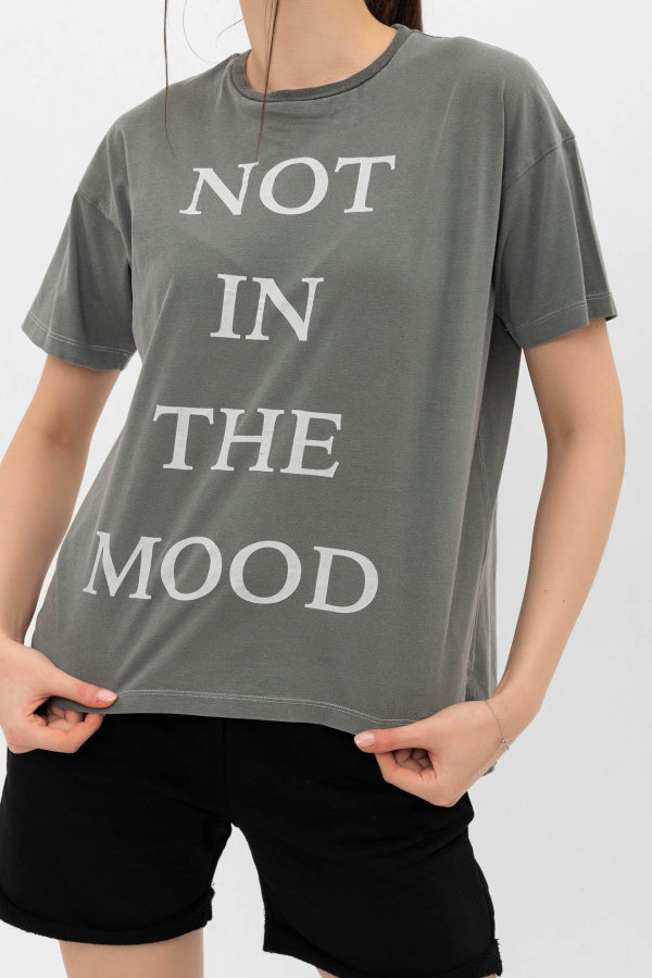 Kadın T-Shirt Not In The Mood - 33